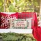 Merry Christmas Throw Pillow Cover 12x20 Inch Red Berry Mistletoe Pine Leaves Christmas Decor Xmas Decorations Outdoor Winter Holiday Lumbar Decorative Pillow Case for Home Bedroom Couch